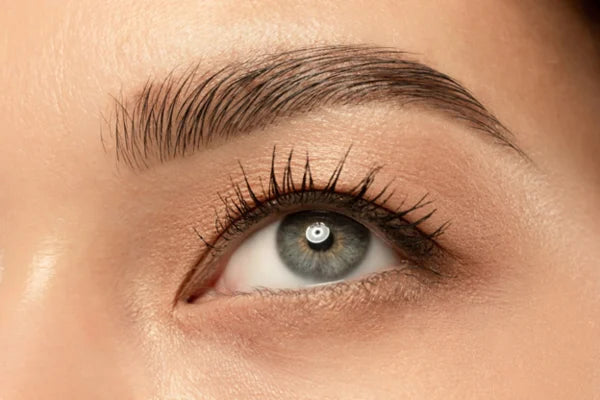 CEJAS