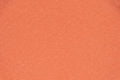 COLOR SKIN BLUSH PEACH SKIN